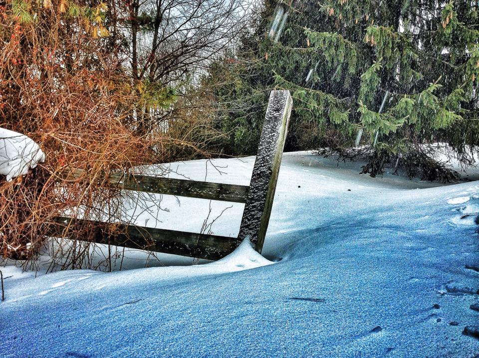 Tarrywile Park snow covered fence